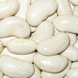 Large white kidney beans